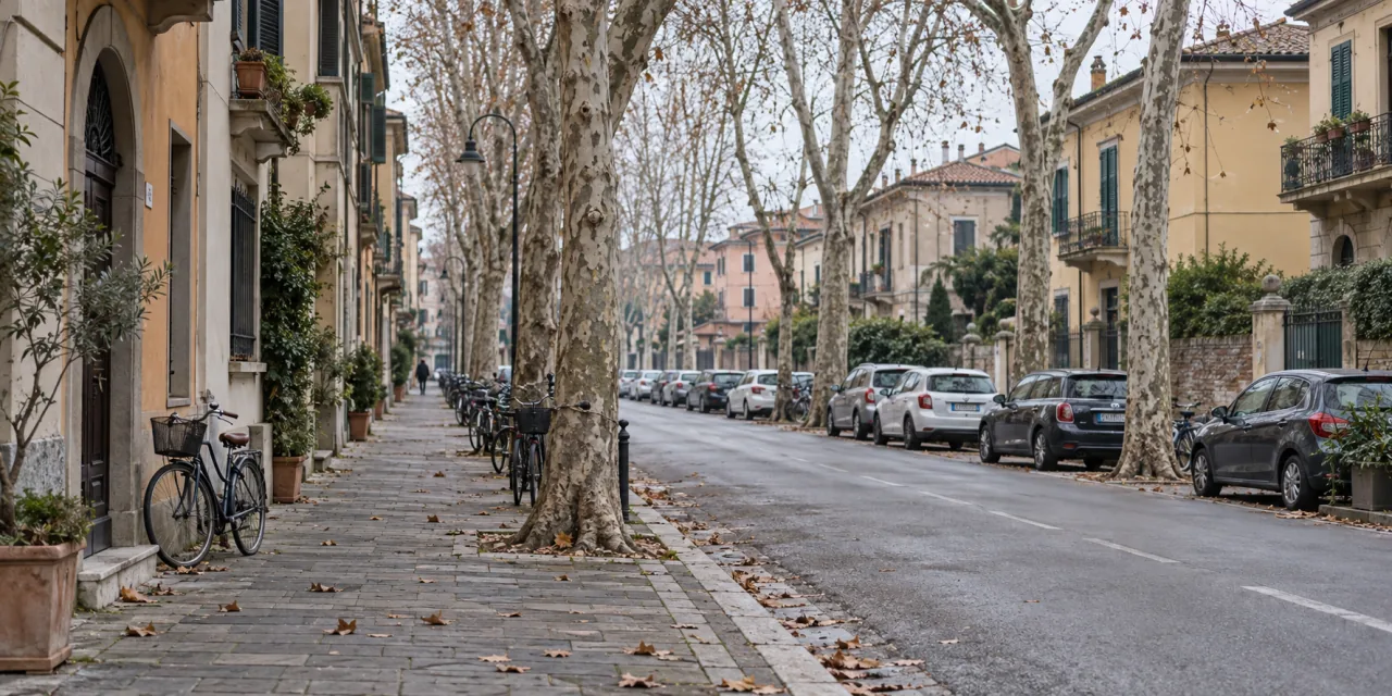Via residenziale alberata in un mattino d'inverno: platani spogli, una bicicletta e auto in sosta